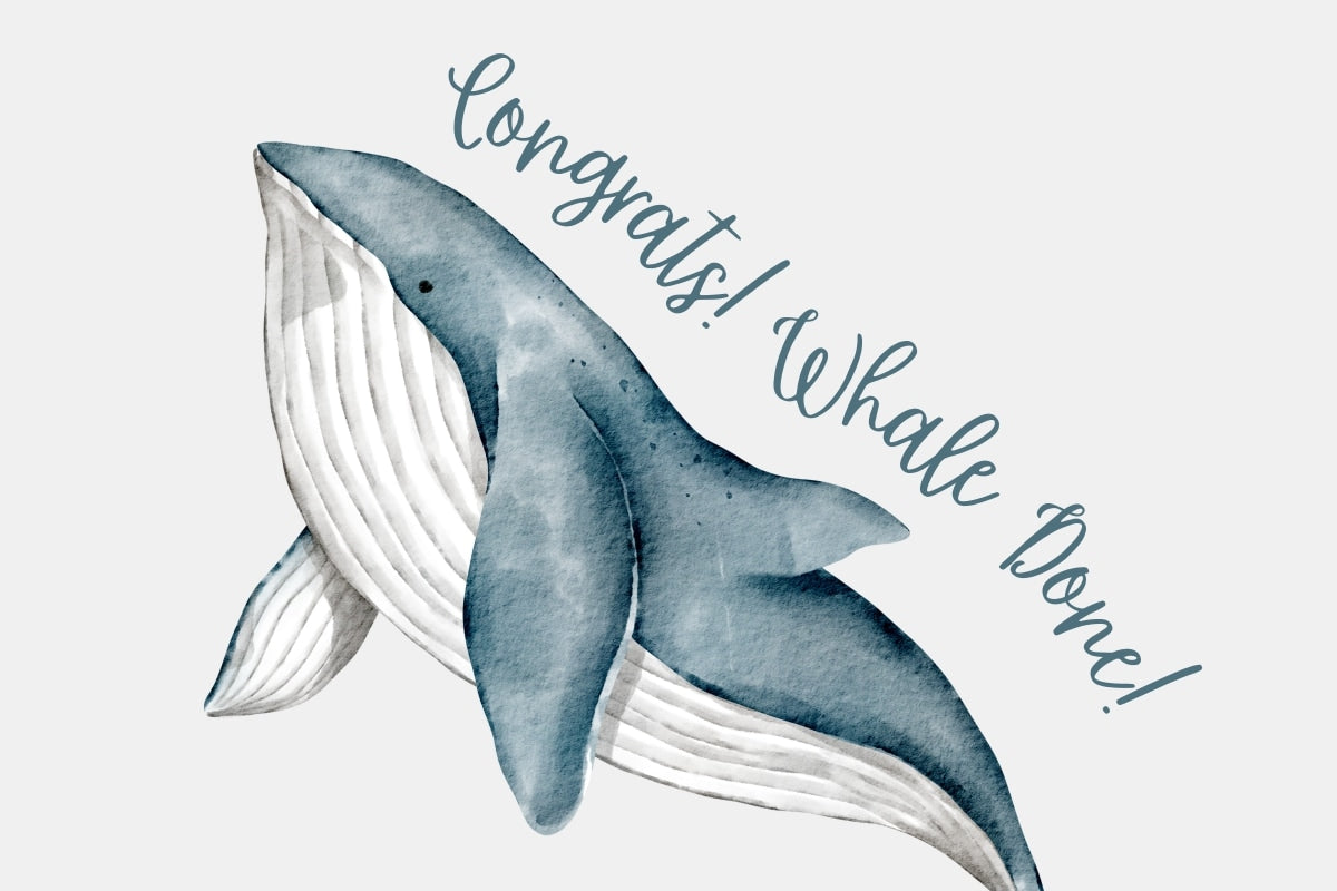 Congrats Whale Done Image of a Whale