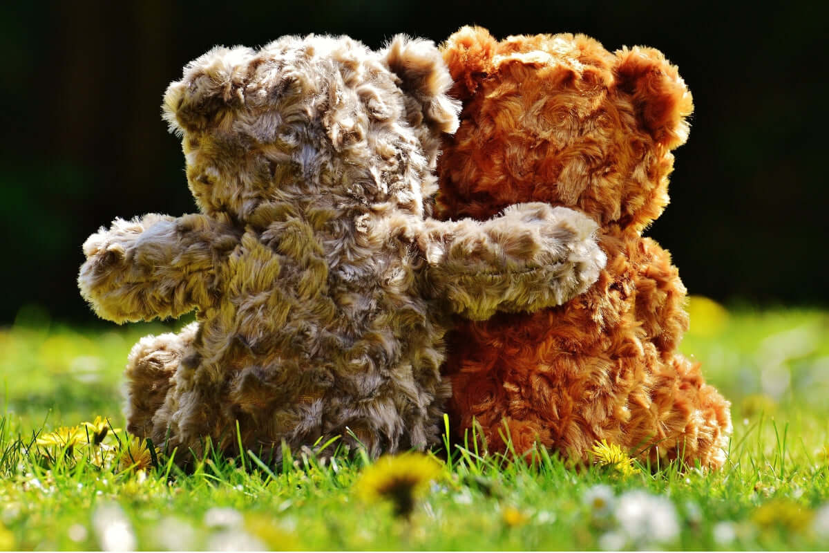 Image of two teddy bears hugging