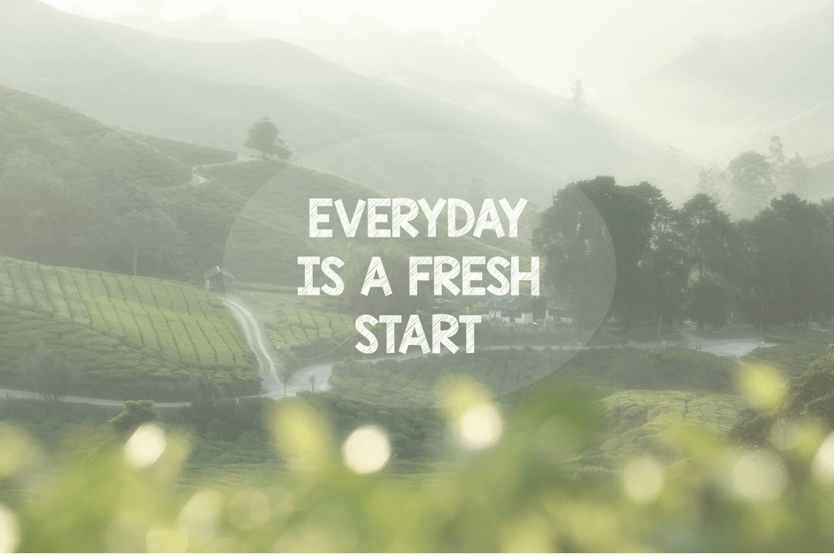 Motivational Phrases and Quotes for Perseverance