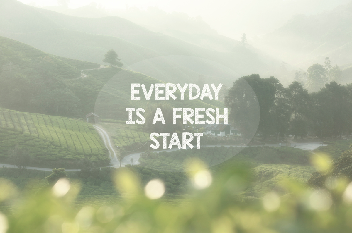 Motivational Phrases and Quotes for Perseverance