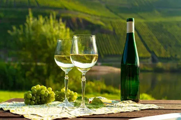 Zesty, Bold, Oaky, Bubbly or Sparkling? These Are Our Top 10 Wines.